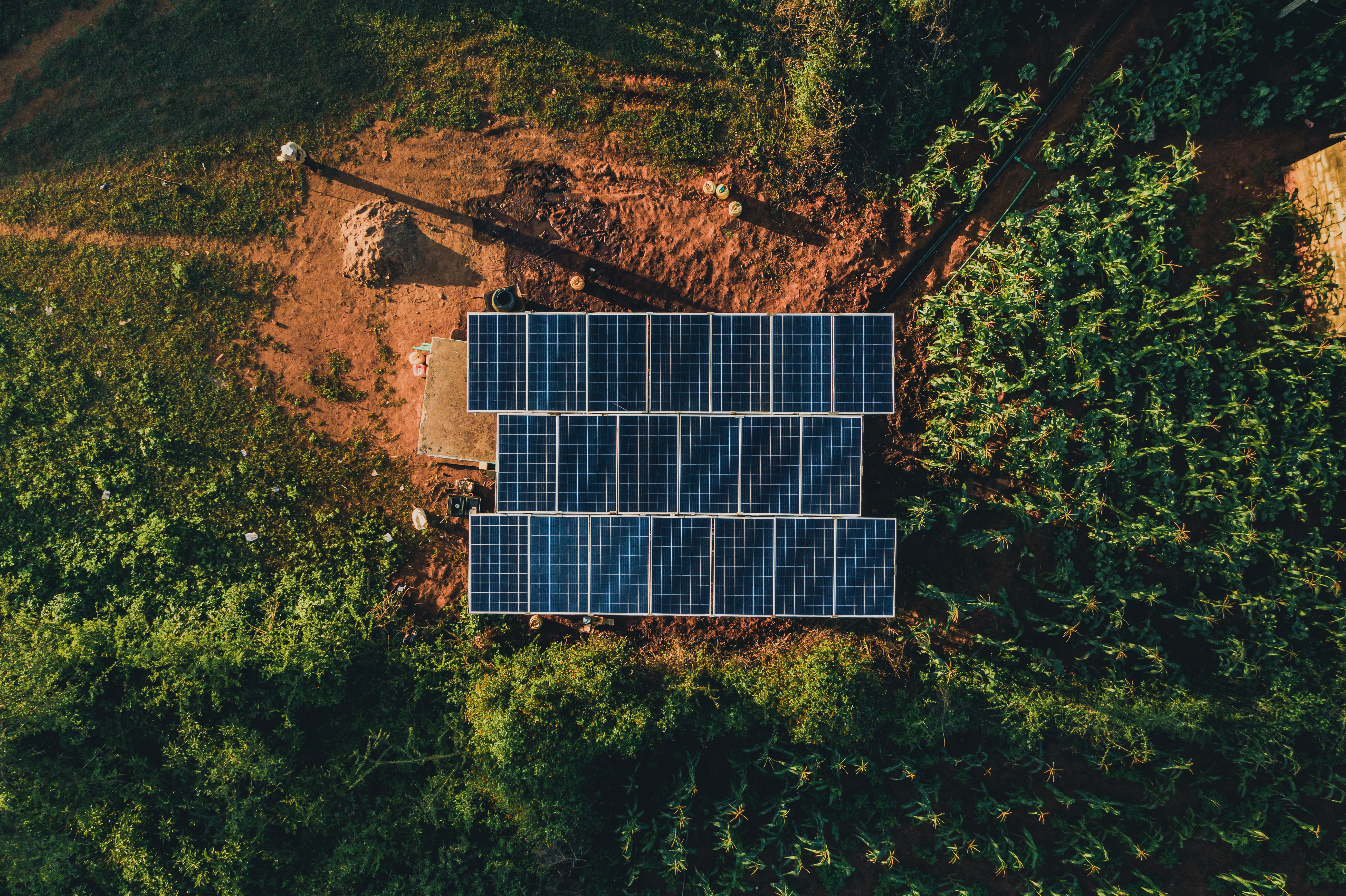 pic of solar panels